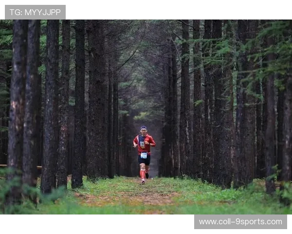 特色森林越野跑，拥抱自然的运动新体验，森林越野车图片大全